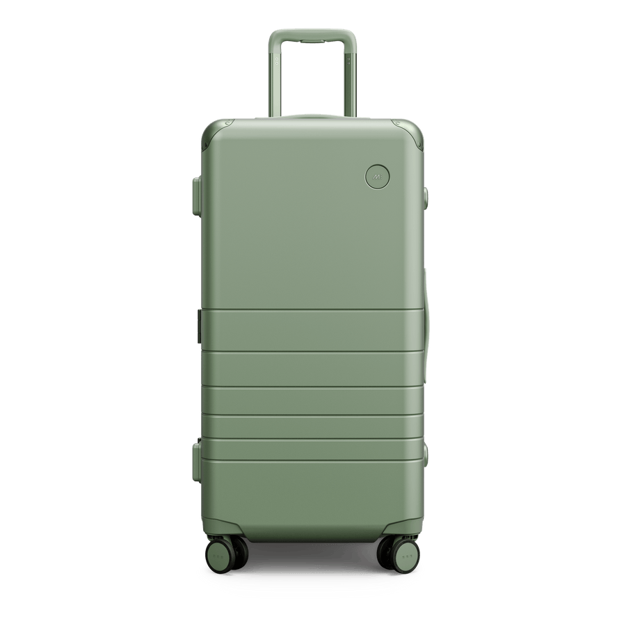 Mint Scaled | Front view of Hybrid Trunk in Mint