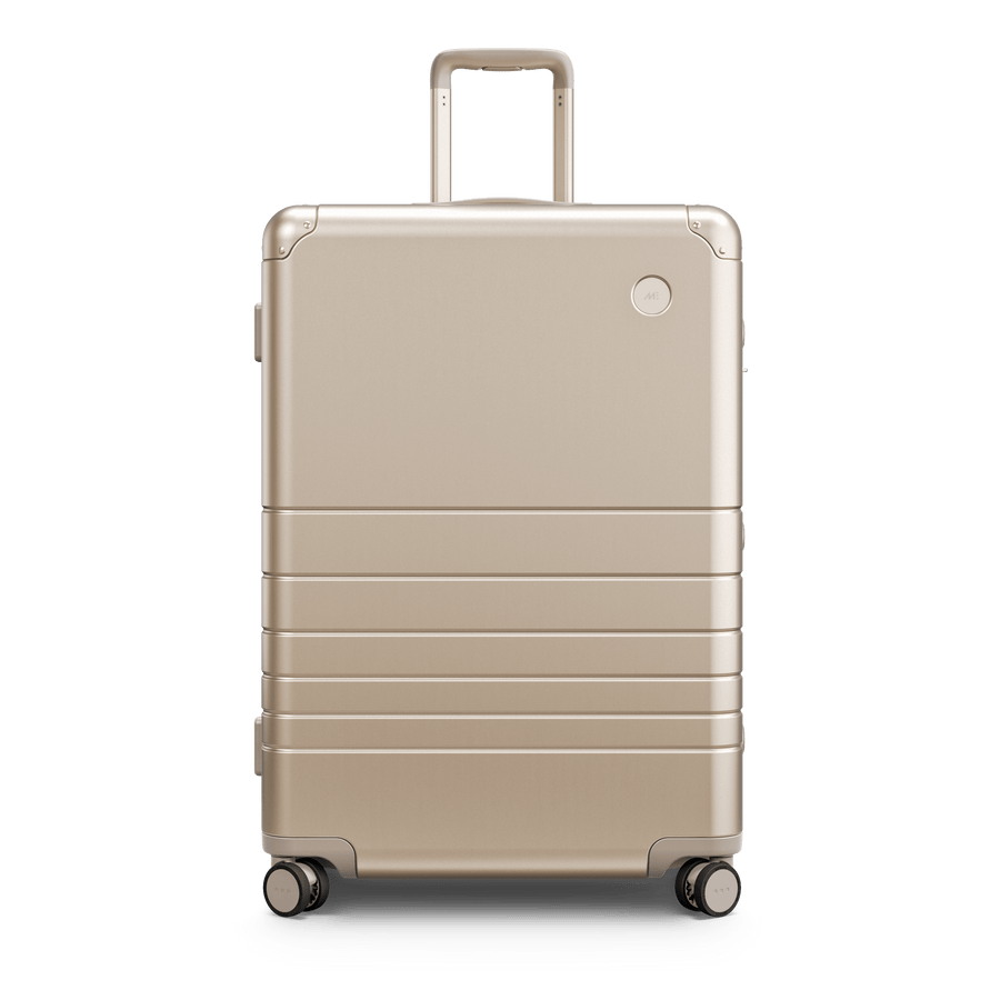 Aluminum Check-In Large